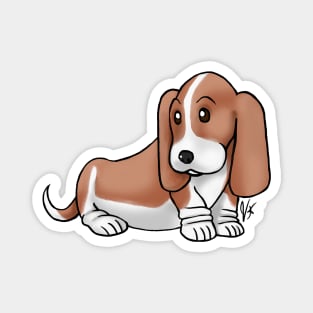 Dog - Basset Hound - White and Tan Magnet