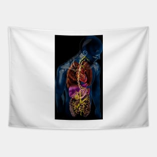 Vagus nerve anatomy, illustration (C037/4895) Tapestry