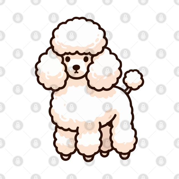 White Poodle by fikriamrullah