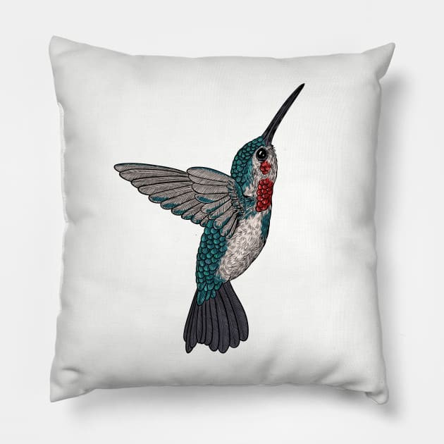 Hummingbird Pillow by katerinamk