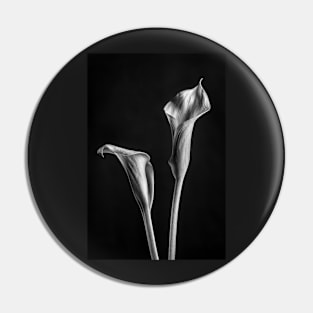 Calla Lilies in Black and White with a Black Background Pin