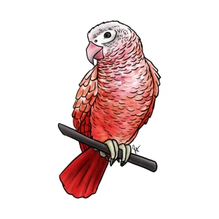 Bird - African Grey Parrot - Pink T-Shirt