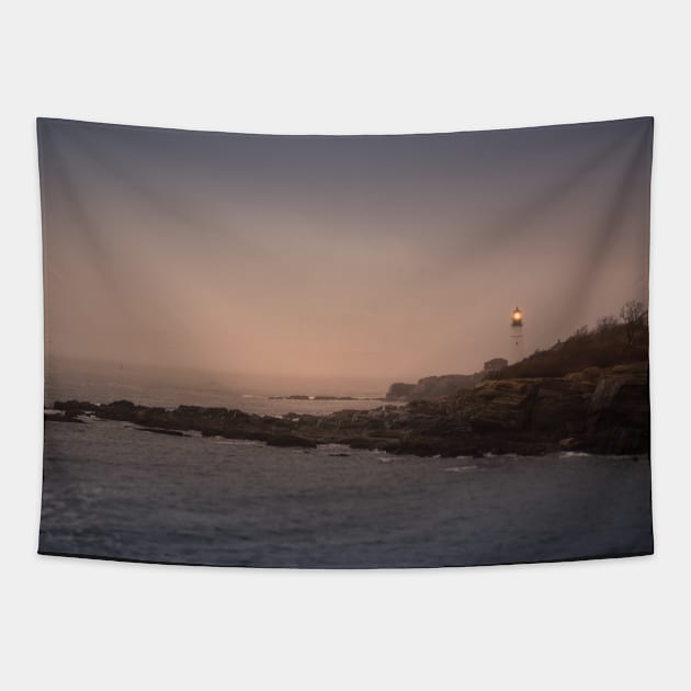 Maine Portland Head Light Tapestry by Enzwell