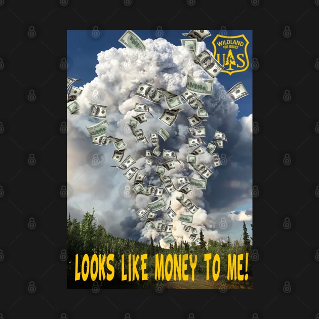 Looks Like $$$$ by Firethreadz