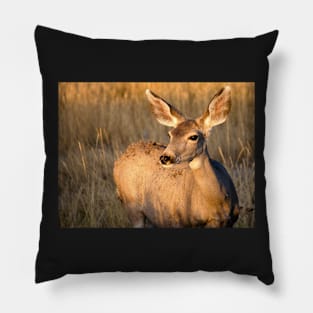 Mule Deer in Afternoon Light Pillow