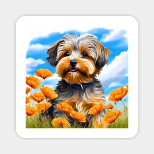 California Poppy Yorkipoo Puppy Magnet