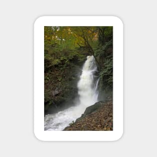 Dolgoch Falls Gwynedd Magnet