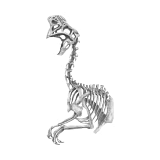 Oviraptor skeleton T-Shirt