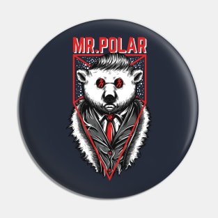 Mr Polar Pin