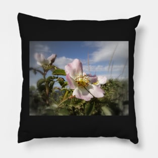 old-fashioned roses by Fox Creek & Columbia River 7 Pillow