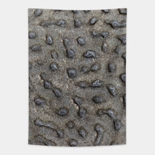Spotted Volcanic Rock Formation Tapestry