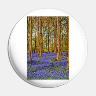 Bluebell Woods Greys Court Oxfordshire England Pin