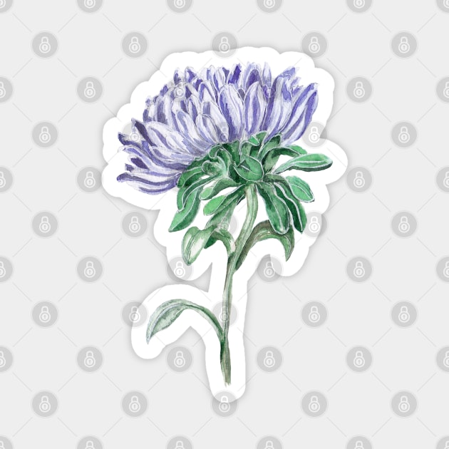 Aster Magnet by feafox92