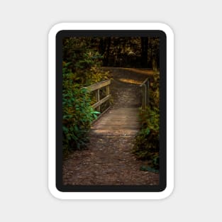 A Wooden Footbridge In The Woods Magnet