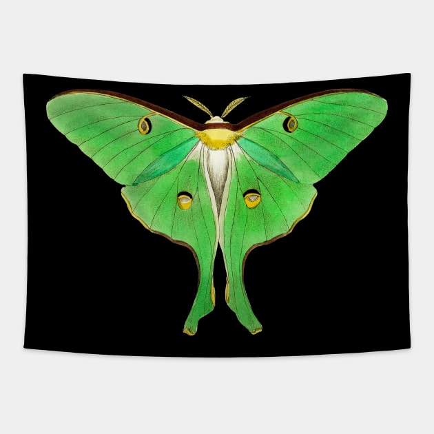 Luna Moth Tapestry by Heartsake