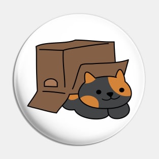 Box Clever Kitty Pin