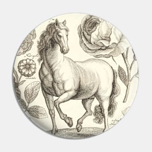 Horse Flower Vintage Illustration Pin