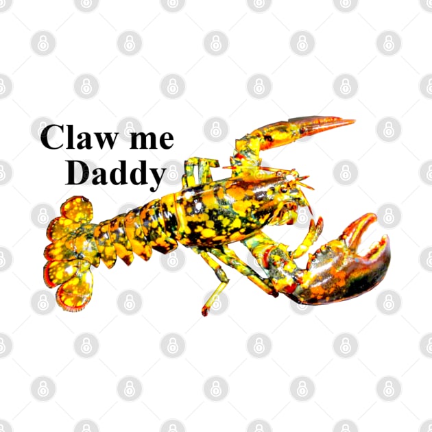 Claw Me Daddy by Art of V. Cook