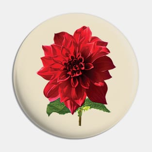 Dahlia Spartacus Pin