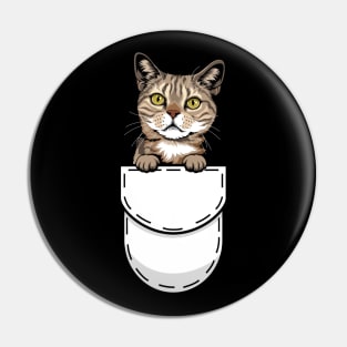 Funny Tabby Pocket Cat Pin