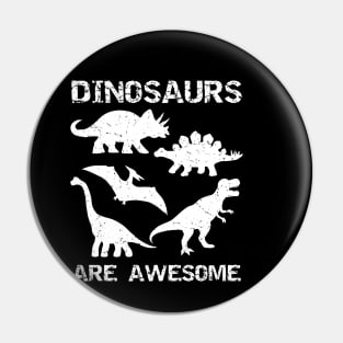 Dinosaurs Are Awesome Pin