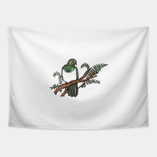 New Zealand pigeon Tapestry