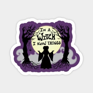 Hocus Pocus Witchcraft Magnet