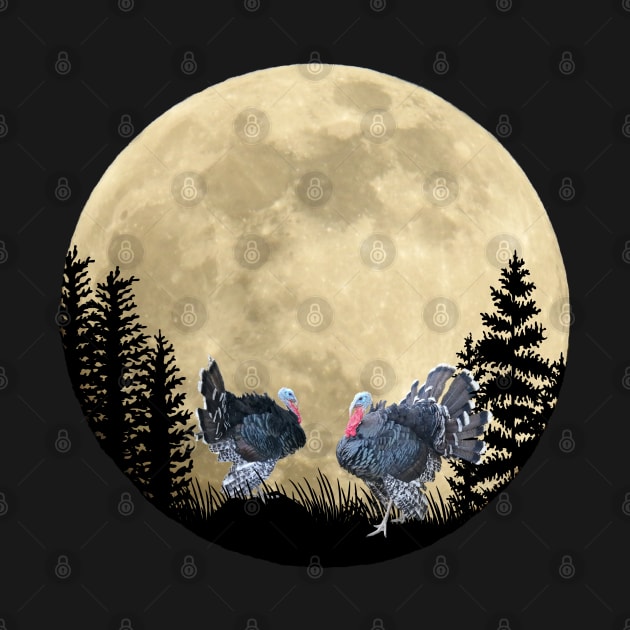 Romantic turkey with bat at night in the moonlight by BurunduXX-Factory