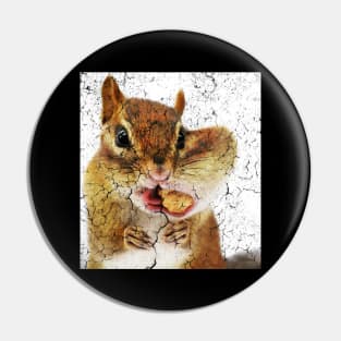 CUTE SQUIRREL FACE Pin