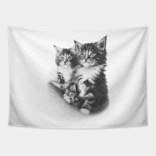 Double Dose of Kitten Cuteness Tapestry