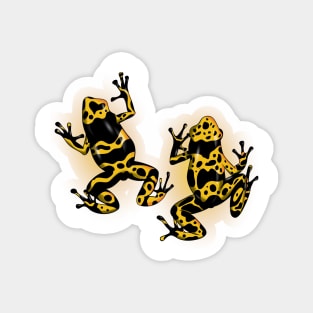 Yellow Banded Poison Dart Frog Magnet