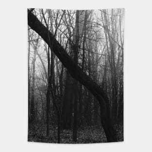 Loneliness Tapestry