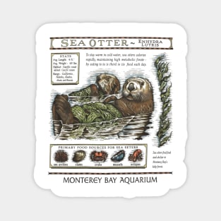 Monterey Bay Aquarium Otter Magnet