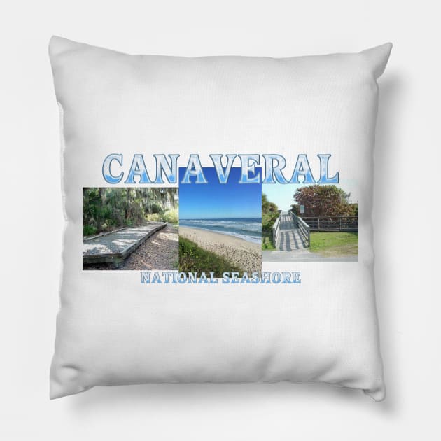 Canaveral National Seashore Pillow by teepossible