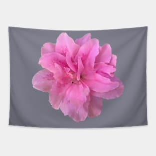 Pink Azalea Flower Close-up Tapestry