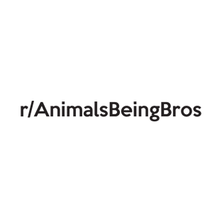 r/AnimalsBeingBros T-Shirt