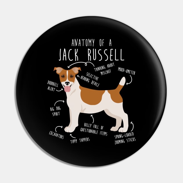 Jack Russell Terrier Dog Anatomy Pin by Psitta