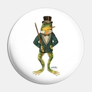 Frog Toad 1 Pin