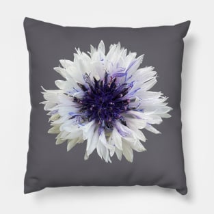 Cottage Core White Cornflower Pillow