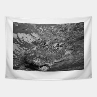 South Orange of Alligator black and white Tapestry