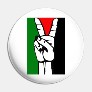 Palestinian Peace Flag Pin