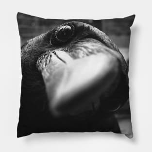 Raven Pillow