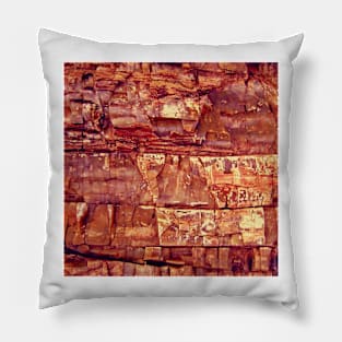 Petrified Wood Pillow