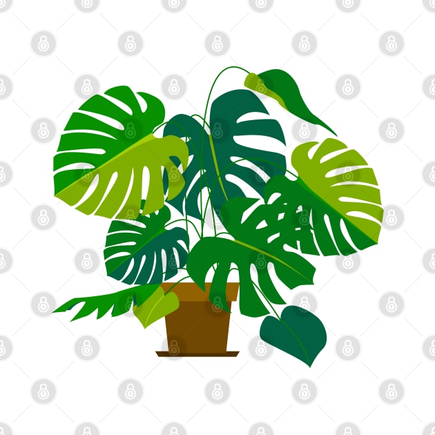 monstera by lisenok