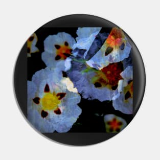 Esteva - Cistus | Floral photomanipulation Pin