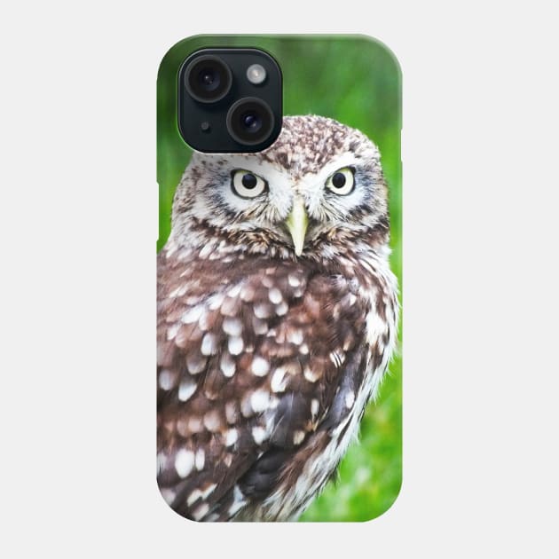 Pygmy Owl Phone Case by Ludwig Wagner