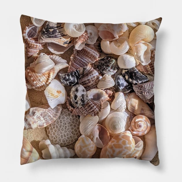 Summer Seashells Pillow by NewburyBoutique