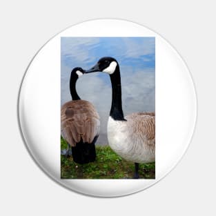 Canada Goose Canadian Geese Wild Bird Pin