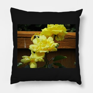 Yellow climbing roses Pillow