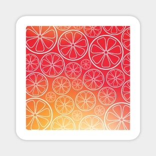 Citrus Slices (red/orange) Magnet